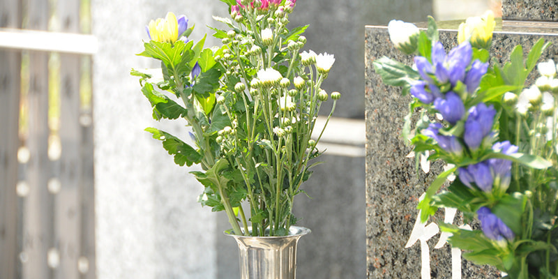 pxt00000172385702.jpg
